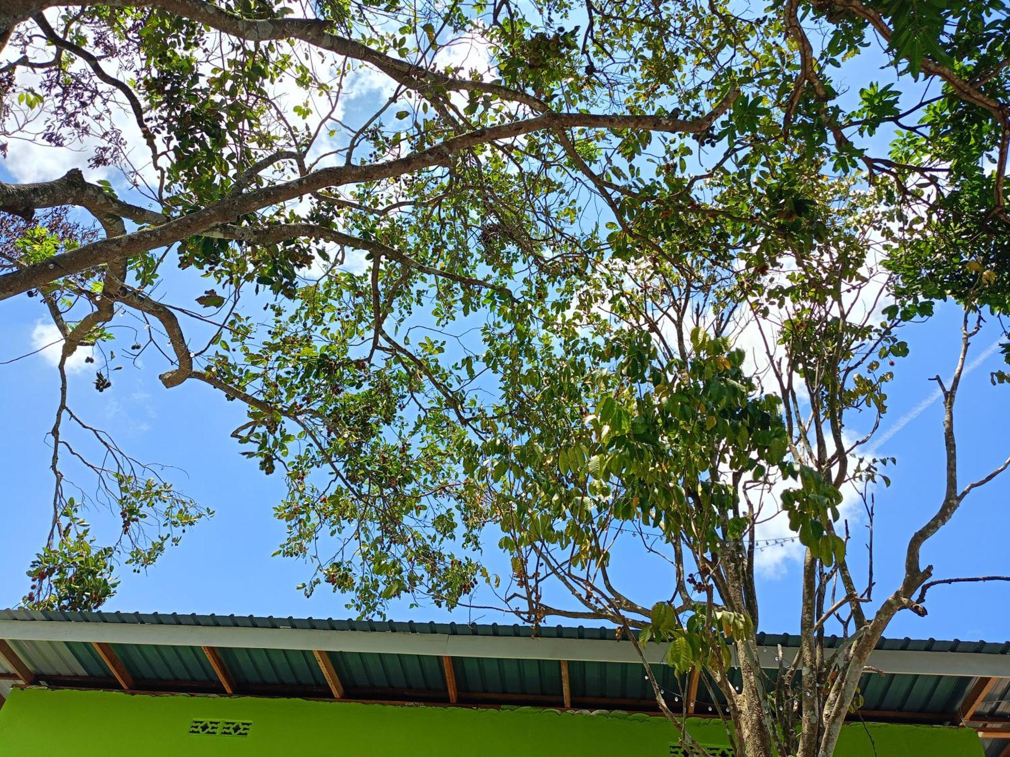 One Mek Studio Bachok Exterior foto